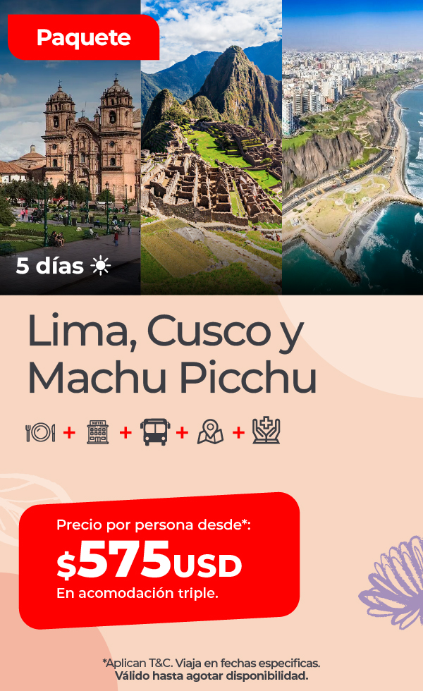 Imagen 5